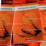 Parte do livro lançados - da autoria do Doutor Lourenço do Rosário