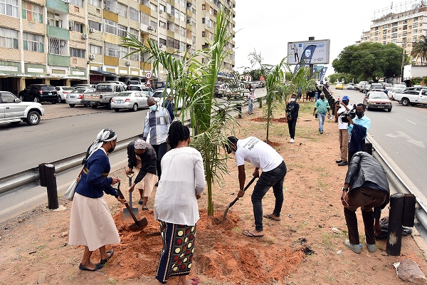 1 Plantio de Arvores na cidade de Maputo 4
