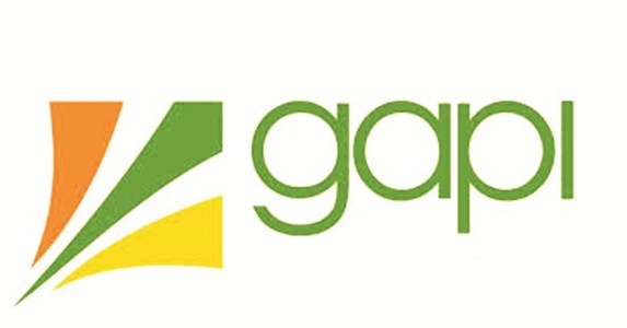 GAPI