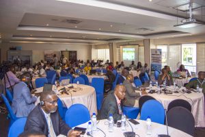 Participantes (1) (2)