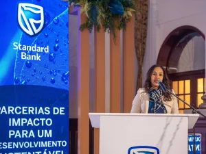 Directora do Sector Público e Instituições de Desenvolvimento Global do Standard Bank, Nasrine Seni