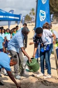Plantio de arvores na Cidade da Beira Plantio de arvores na Cidade da Beira