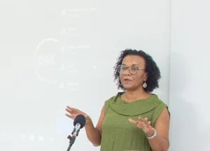 Rosânia da Silva, directora executiva da FUNDE (2) Rosânia da Silva, directora executiva da FUNDE (2)