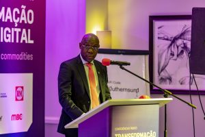 Lourino Chemane, PCA do INTIC Lourino Chemane, PCA do INTIC