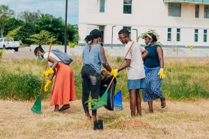 Acção de limpeza (2)