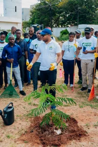 Plantio de árvores (1)