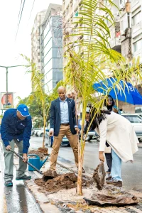 Colaboradores do Banco participam na reposição de palmeiras na Av. Eduardo Mondlane 8