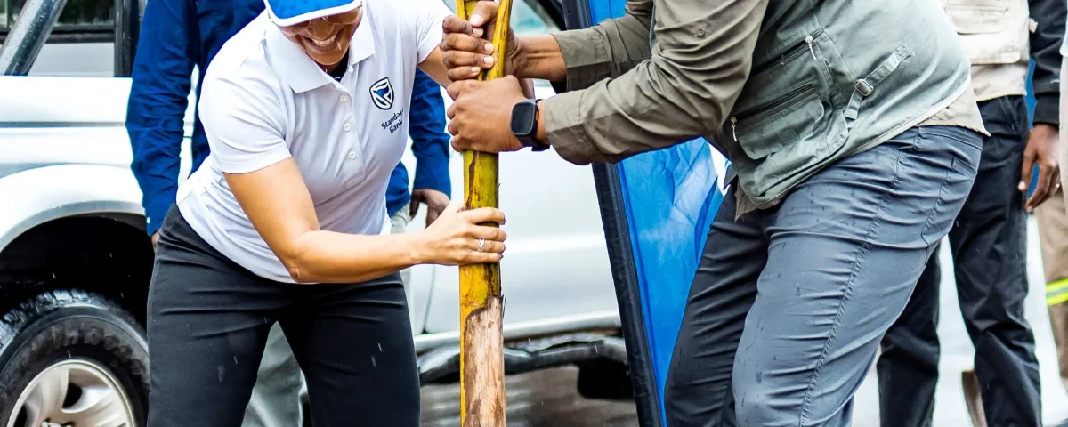 Reposição de palmeiras na Av. Eduardo Mondlane 1