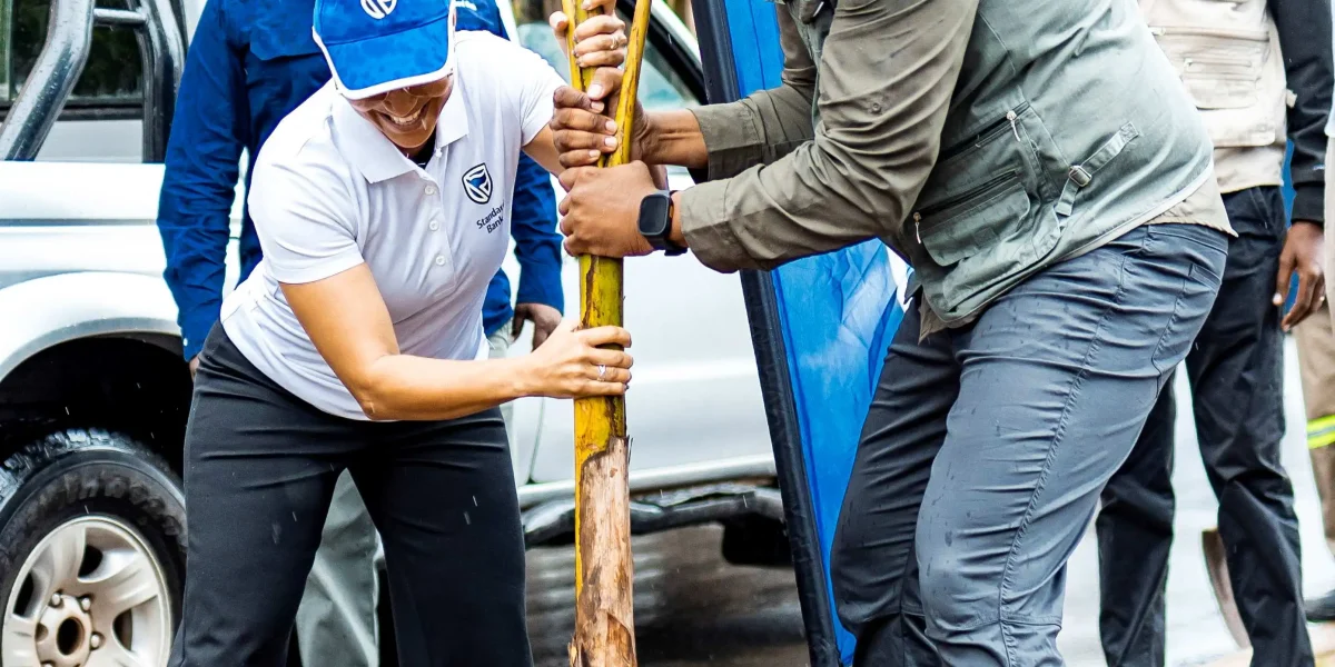 Reposição de palmeiras na Av. Eduardo Mondlane 1