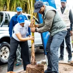 Reposição de palmeiras na Av. Eduardo Mondlane 1
