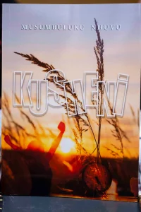 Capa da obra (3)