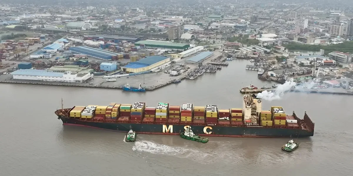 MSC Petra 2